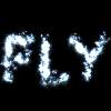 fly.gif